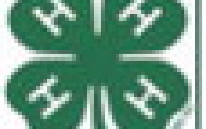 Project talks highlight March meeting of Glittering Stones 4-H Club