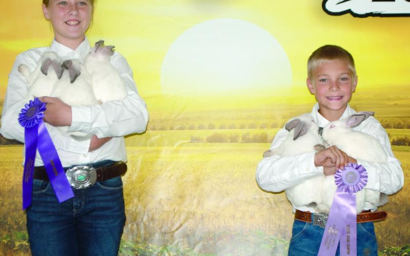 Ribbons awarded to 4-H, HYA, FFA entrants of rabbit show