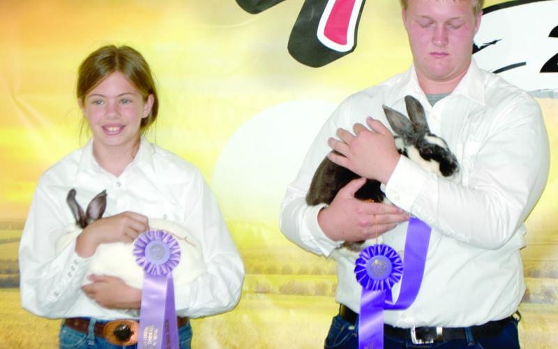 Ribbons awarded to 4-H, HYA, FFA entrants of rabbit show