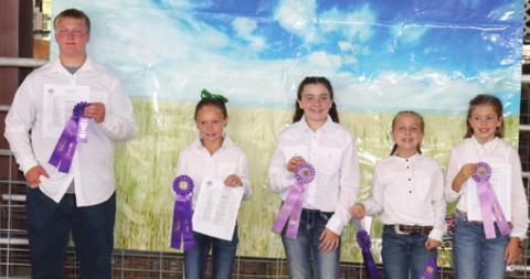 During the rabbit show