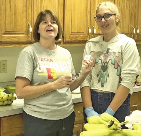 Local Girl Scouts earn community service pins