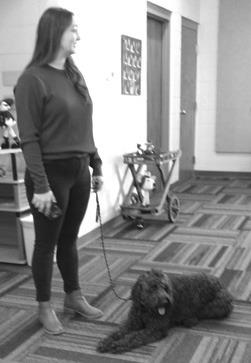 Service dog makes appearance at PEO meeting