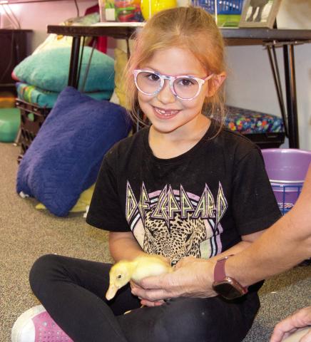 Amariyah McLean is holding one of the ducklings that Park Elementary Kindergarteners incubated and hatched. News Report photo by Tanya Woolsey.