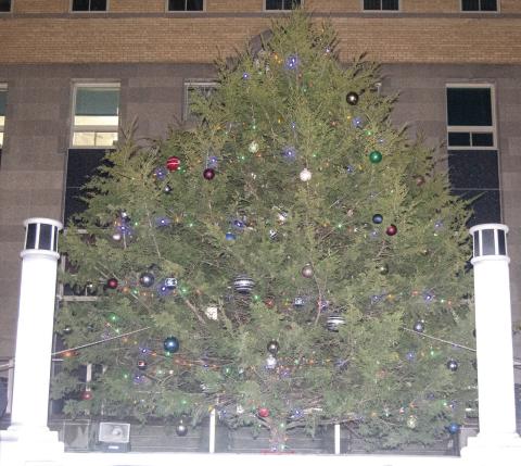 The courthouse Christmas Tree lights were turned on Wednesday evening just before the parade. It was donated this year by Betty White and lights were installed by Cody Burton. According to Betty the tree was planted in the early 1960’s by her two sons Michael and John Edd and their father John L. White. It eventually blocked the view of the entrance of their drive. For her having the Lions use it is an honor and memory of her sons. News Report photo by Shawn Churchill.