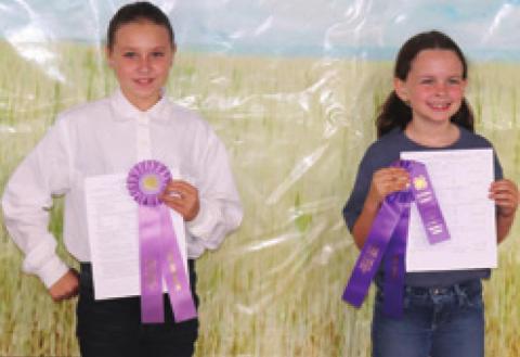 In the Poultry Junior