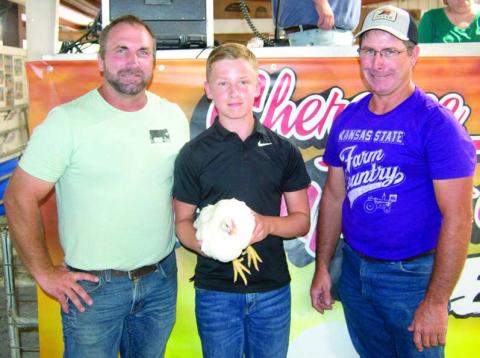 Livestock premium auction promotes learning