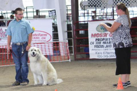 Herrenbruck completes final 4-H year