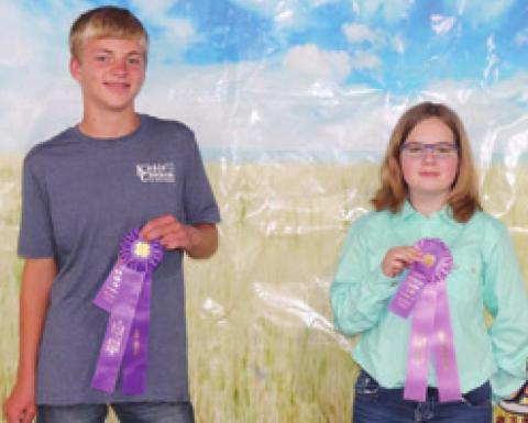 In the Poultry Intermediate