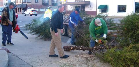 Lions Club members take down tree