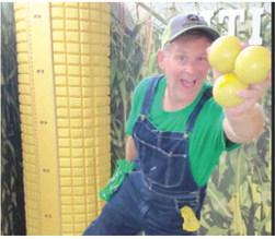 Farmer Phil will be performing a unique blend of juggling and comedy during the Columbus Day Festival. Look for him on the square. Courtesy photo.