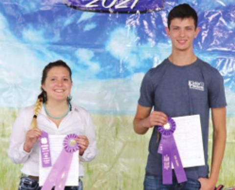 During the Poultry Show