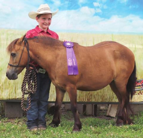 Cherokee County 4-H, open horse show began fair week