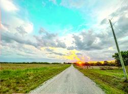 Columbus woman wins photo contest