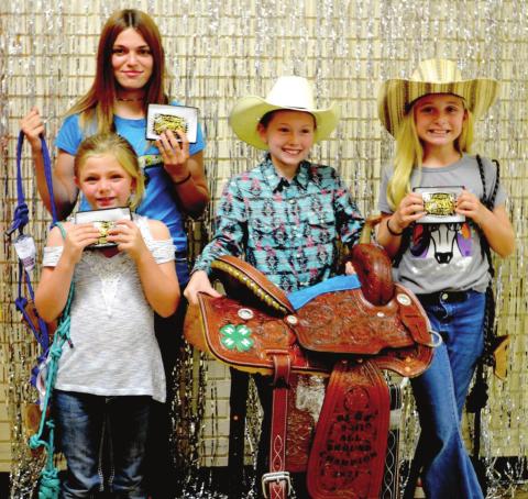 County 4-H scores high in horse series
