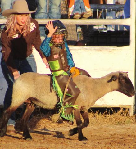 AYRA rodeo action comes to Columbus Saddle Club Arena