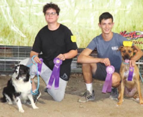 County dog show champions receive ribbons