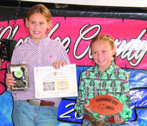 Horse project presents awards at Fair