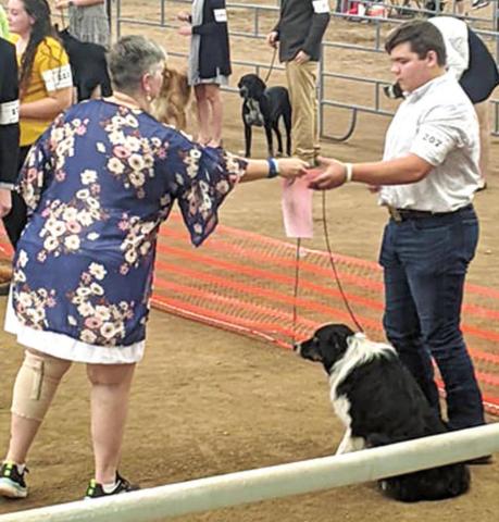 County 4-H members show dogs at state competition