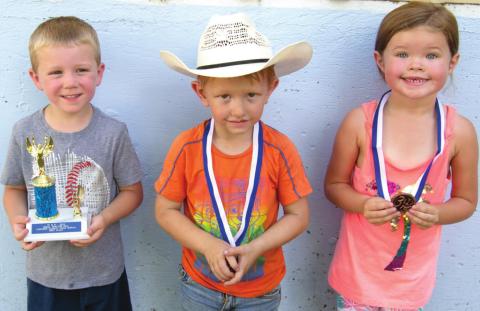 Annual pedal tractor pull has large number of contestants