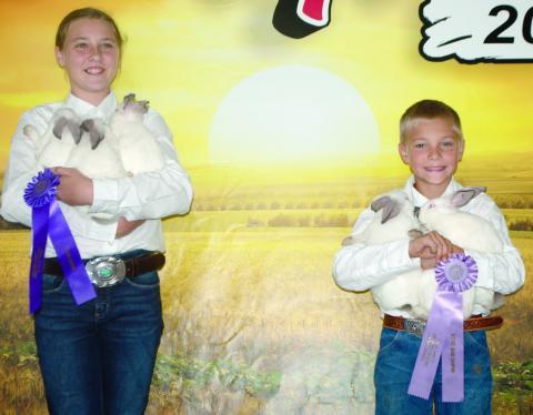 Ribbons awarded to 4-H, HYA, FFA entrants of rabbit show