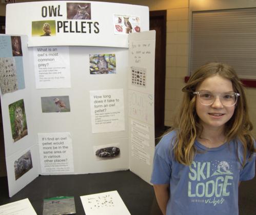 Columbus students enter projects in annual science fair