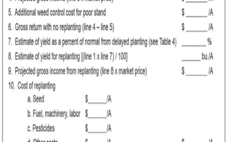 Figure 2 Over-planting Cost and Benefit Calculation.