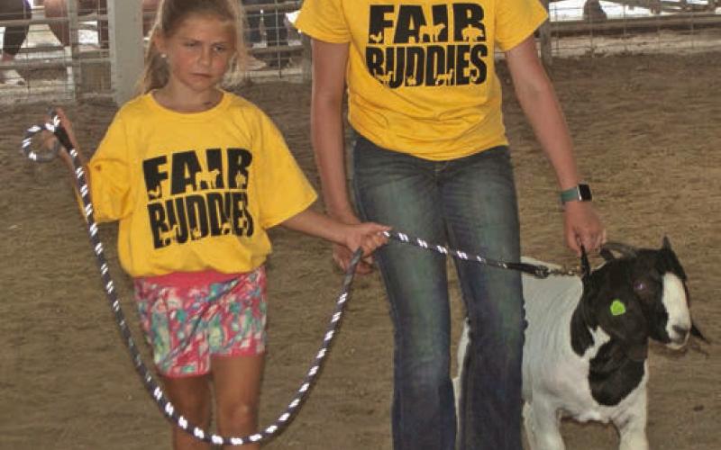 Fair Buddies will return to the Cherokee County Fair Wednesday evening. An experienced 4-H member will help a younger person show an animal in the arena.