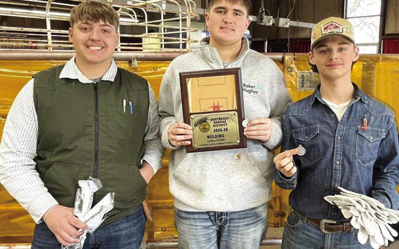 Titans of the Week