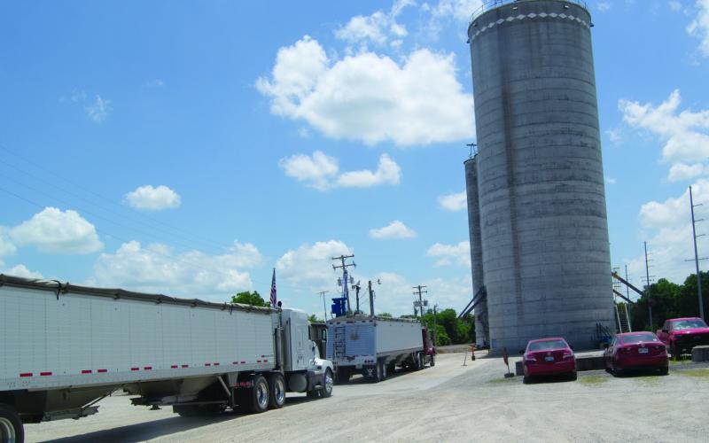 The wheat harvest is underway in Cherokee County as the trucks are lined up at the Columbus Farmer’s Elevator to unload the harvest. Reports of a good crop have been circulating the county.
