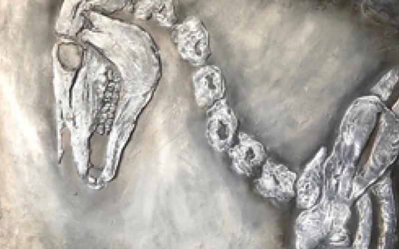 New art show to open at Maple UnCommon