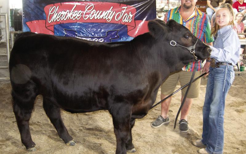 The Cherokee County Fair Grand Champion Feeder Calf was purchased from Samantha Ohmart, Shamrock, by Dr. Robert Herron and Herron Dental Clinic for a $1,600 premium.