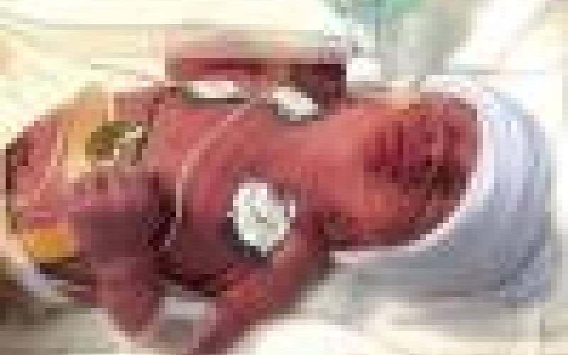 Niegisch family welcomes new son