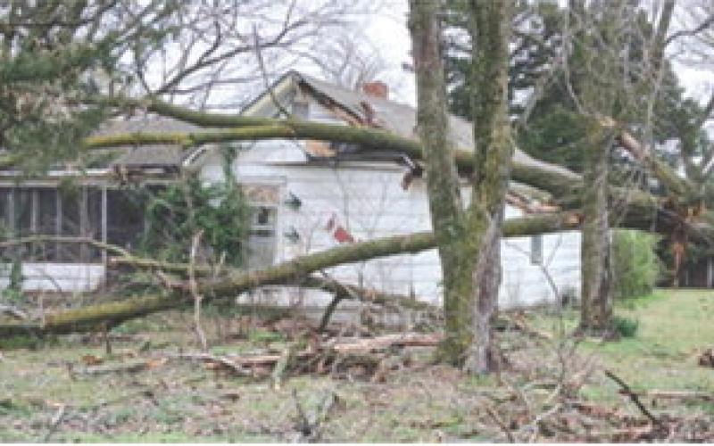 This house on West 14th Street was damaged by falling trees during the storm Sunday. At lease one window was also blown out. Photo by Lisa Cain.