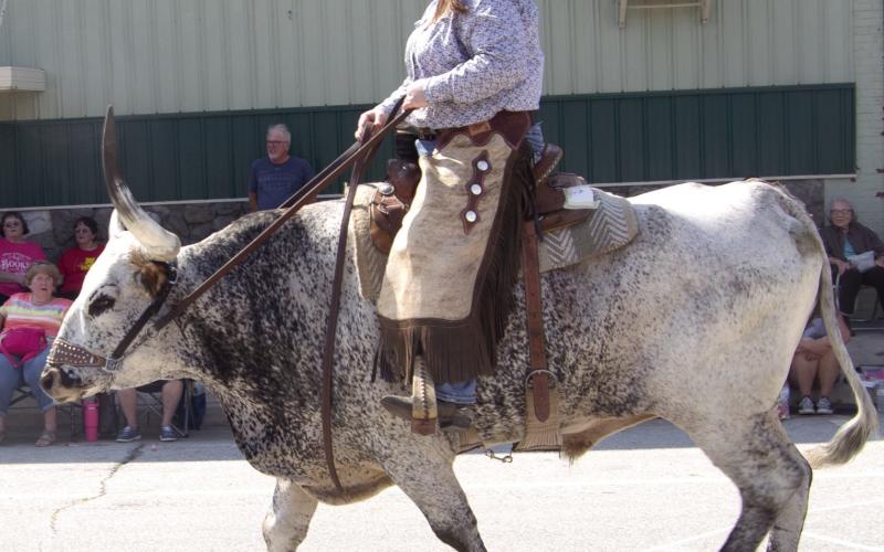 The most unusual attraction of the parade was a giant long horn steer being ridden by Debbie Welch. The animal is owned by Debbie and Les Welch of Columbus.