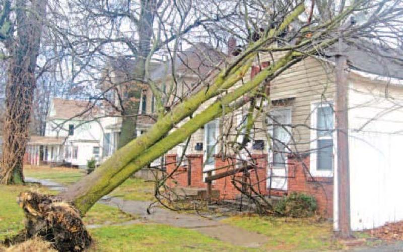 A large tree fell onto the front of apartments the at 305 W. Maple St. Most of the damage is on the peak of the roof. No internal damage was reported. The tree was blown over from the storm January 8. News Report photo by Shawn Churchill.