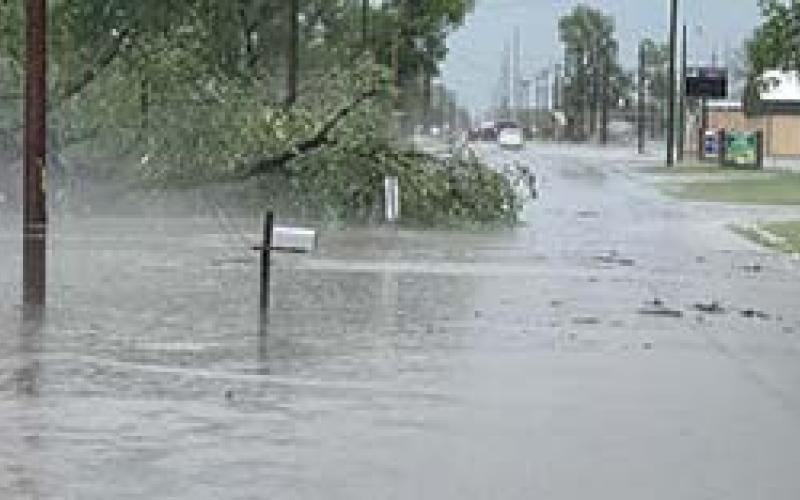 At least one tree was damaged and numerous roads were flooded due to Wednesday’s record breaking rainfall. Courtesy photo.