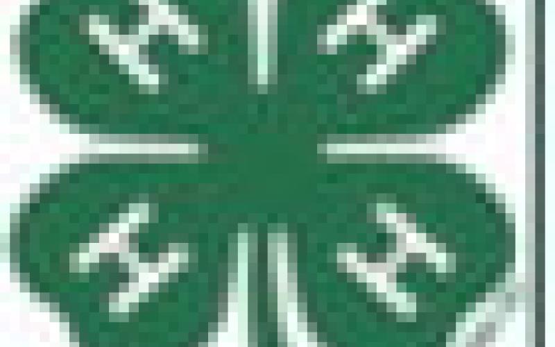 Glittering Stones 4-H club welcomes three new members at meeting