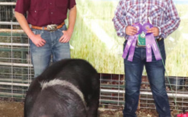 Charles Sharp was Grand Champion in the Gilt class and Grand Champion in Open Class-Sow during the Cherokee County Swine show.