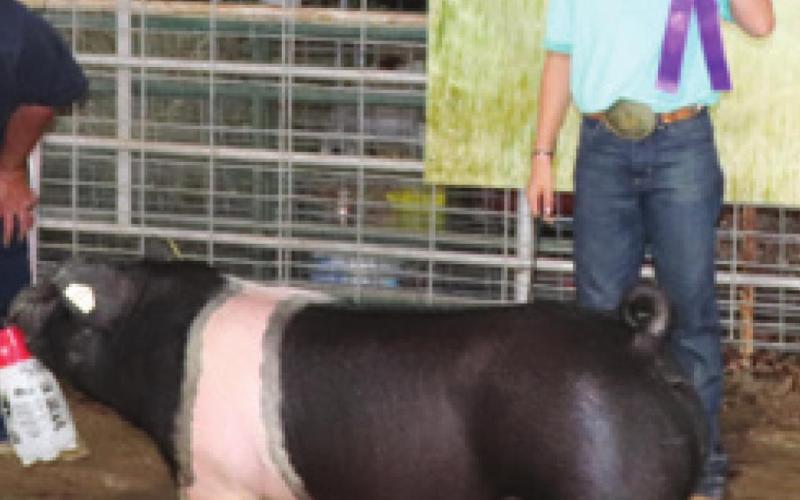 In Intermediate Fitting and Showing Shade Schuberger was Grand Champion. Trenton Lacen (not pictured) was Reserve Champion.