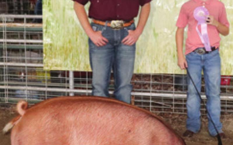 Kamdyn Nuckles was Reserve Champion in the Open Class-Gilt division at the Cherokee County Fair.