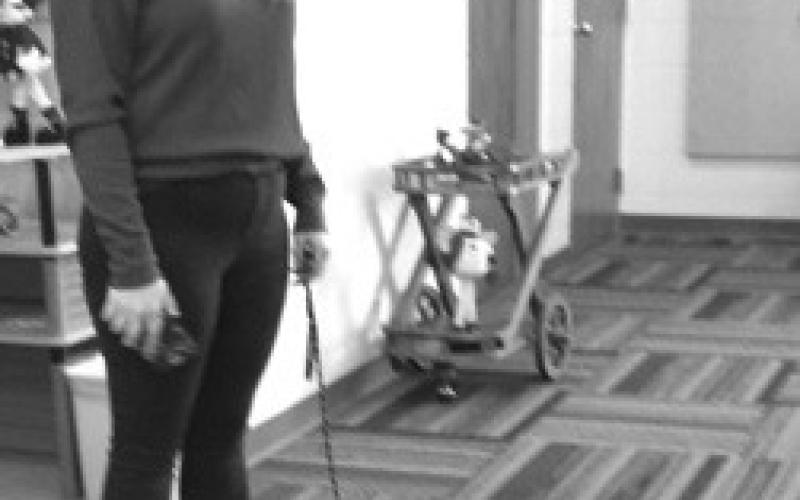 Service dog makes appearance at PEO meeting