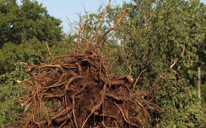 Storm damages county homes, property