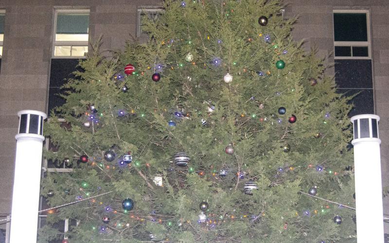 The courthouse Christmas Tree lights were turned on Wednesday evening just before the parade. It was donated this year by Betty White and lights were installed by Cody Burton. According to Betty the tree was planted in the early 1960’s by her two sons Michael and John Edd and their father John L. White. It eventually blocked the view of the entrance of their drive. For her having the Lions use it is an honor and memory of her sons. News Report photo by Shawn Churchill.