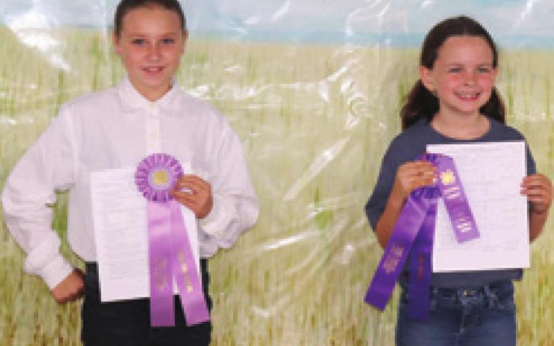 In the Poultry Junior