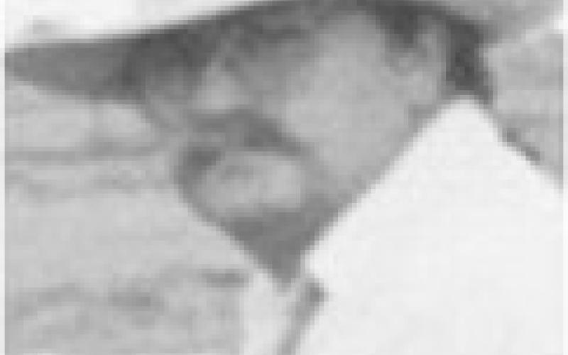 Harold Shallenburger, 81, Galena