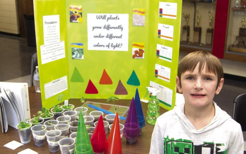 Columbus students enter projects in annual science fair