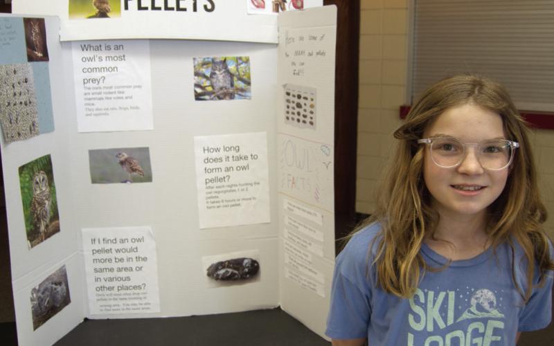 Columbus students enter projects in annual science fair