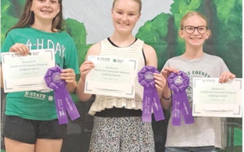 Hadley Holmes, Ryleigh Holmes and Reagan Holmes, members of the Cherokee County 4-H Family and Consumer Sciences (FCS) Intermediate Judging Team brought home top honors from their trip to the State competition. Courtesy photo.