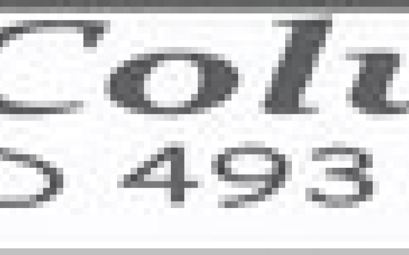 Alt Text for Image