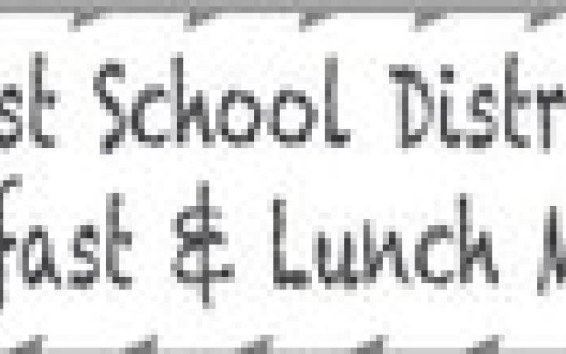Alt Text for Image